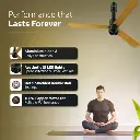 Ceiling_Fan_VGuard_Insight_G_Choco_Gold_Wood_IMG05