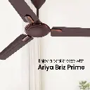 Ceiling_Fan_Crompton_Ariyabriz_Prime_Mink_Brown_IMG02