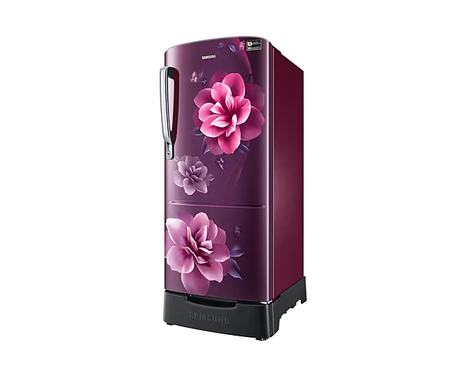 Refrigerator - Samsung - 183 L, Single Door, 5 Star - (RR20D2825CR, Direct Cool)IMG02