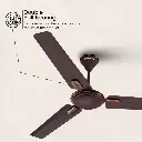 Ceiling_Fan_Crompton_Ariyabriz_Prime_Mink_Brown_IMG04