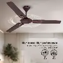 Ceiling_Fan_Crompton_Ariyabriz_Prime_Mink_Brown_IMG05