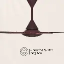 Ceiling_Fan_Crompton_Ariyabriz_Prime_Mink_Brown_IMG06