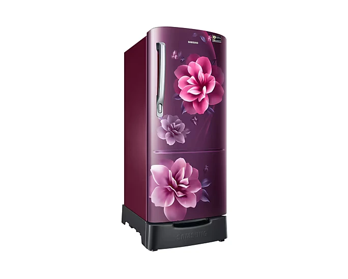 Refrigerator - Samsung - 183 L, Single Door, 5 Star - (RR20D2825CR, Direct Cool)IMG03