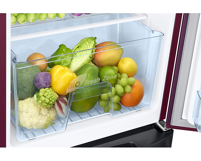 Refrigerator - Samsung - 183 L, Single Door, 5 Star - (RR20D2825CR, Direct Cool)IMG08