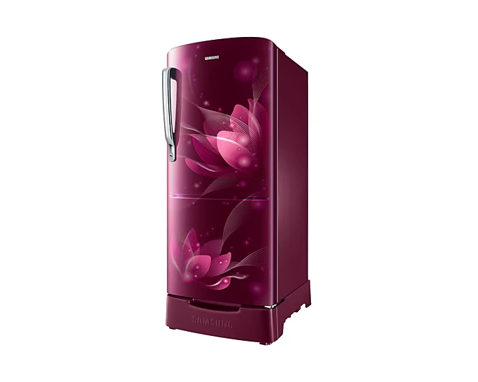 Refrigerator - Samsung - 183 L, Single Door, 2 Star - (RR20C1812R8, Frost Free) IMG02
