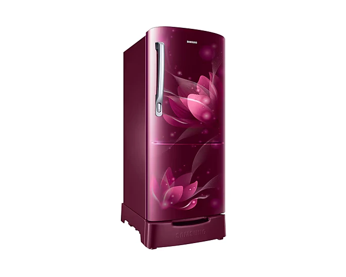 Refrigerator - Samsung - 183 L, Single Door, 2 Star - (RR20C1812R8, Frost Free) IMG03