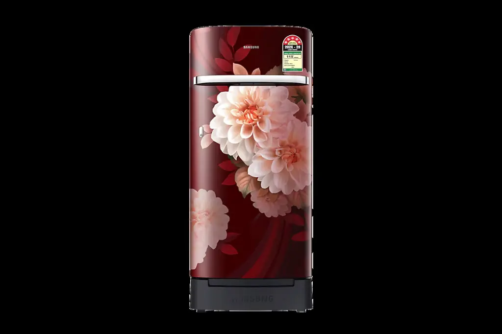 Refrigerator_SAMSUNG_RR21H2H25BR_IMG01.webp