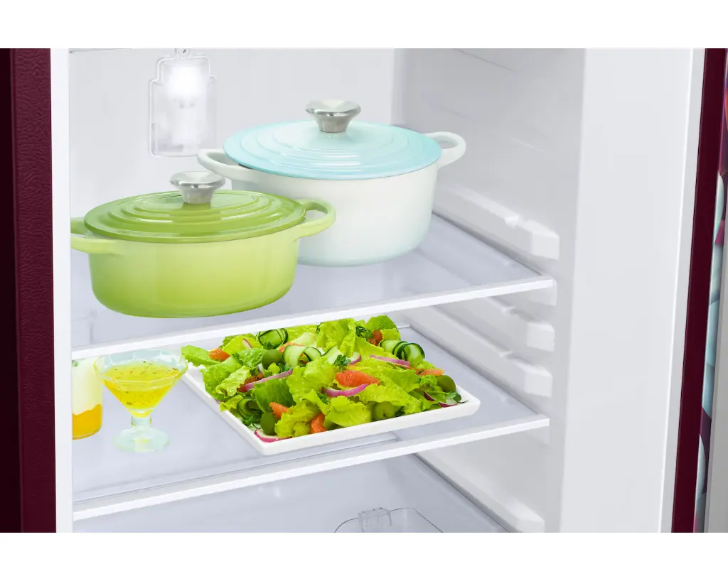 Refrigerator_SAMSUNG_ RR21H2G25WR_IMG12.webp