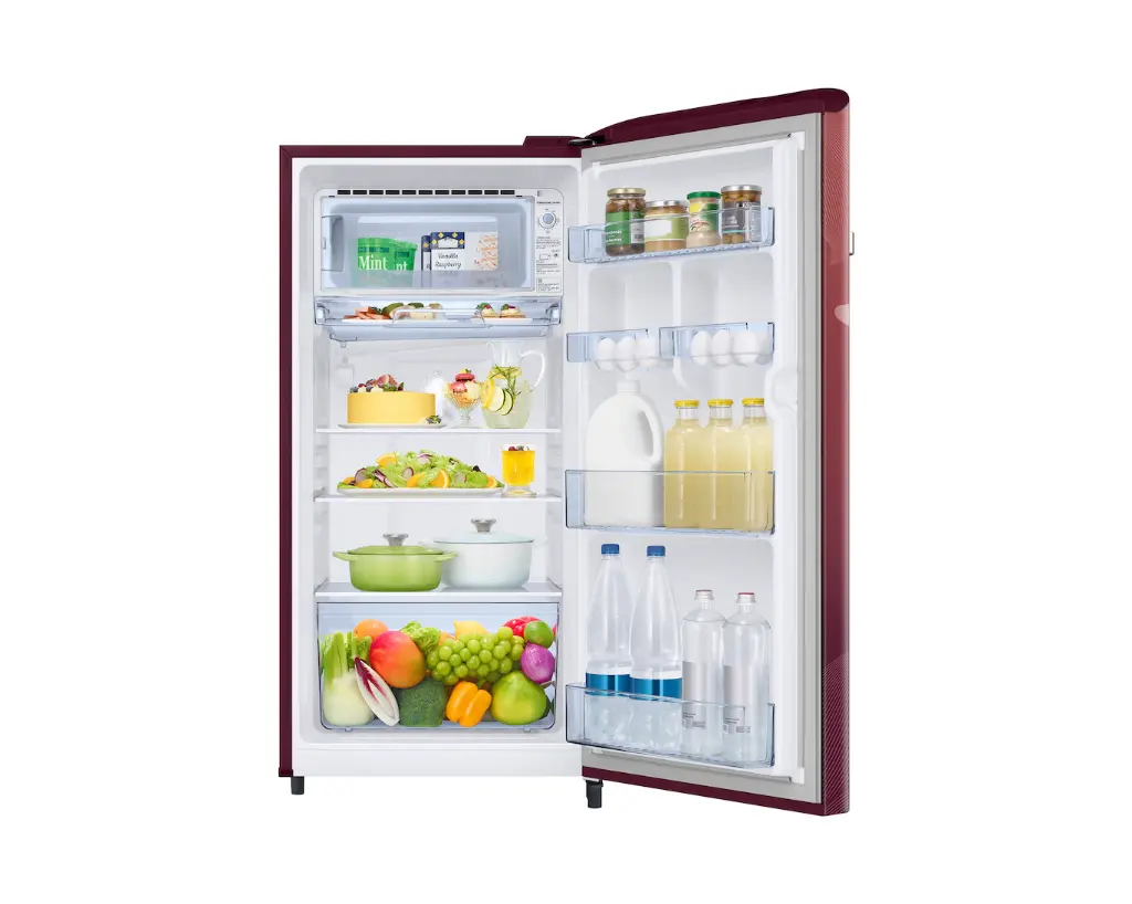 Refrigerator_SAMSUNG_ RR21H2G25WR_IMG11.webp