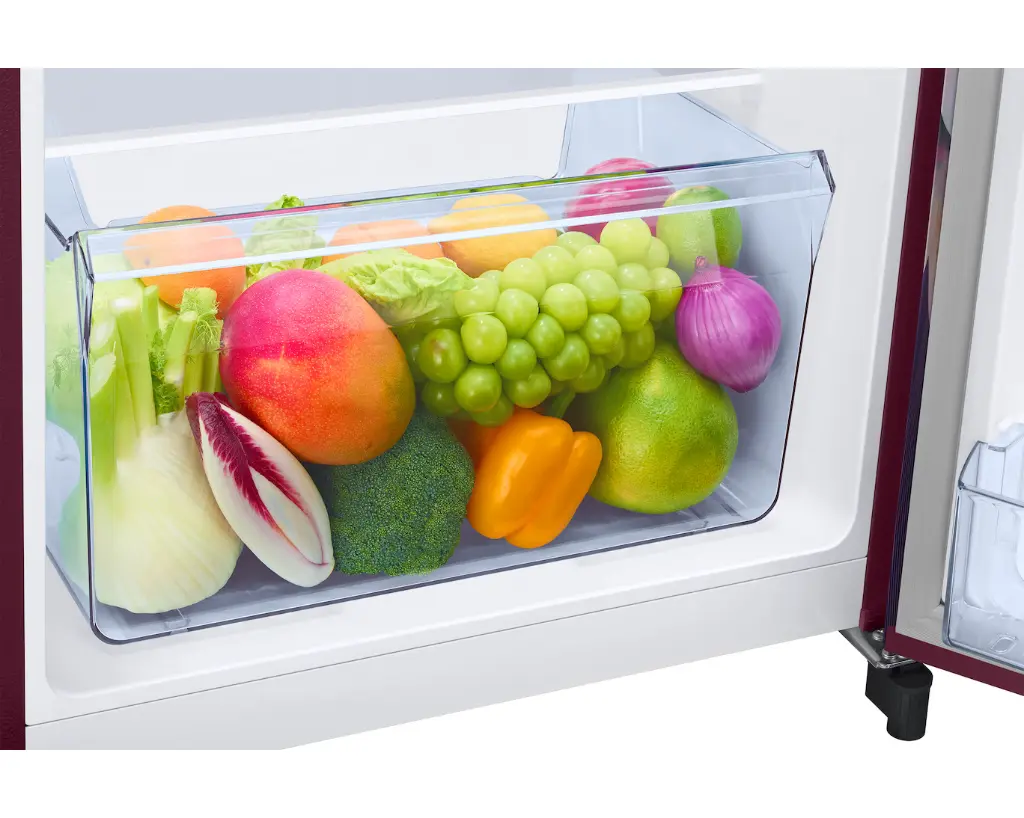 Refrigerator_SAMSUNG_ RR21H2G25WR_IMG06.webp
