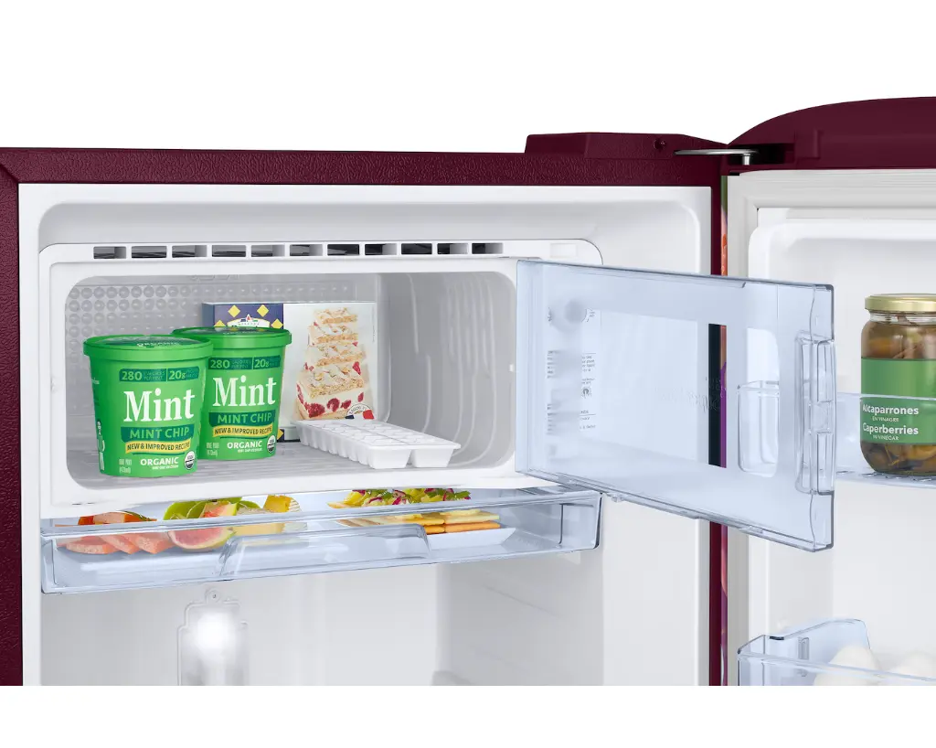 Refrigerator_SAMSUNG_ RR21H2G25WR_IMG05.webp