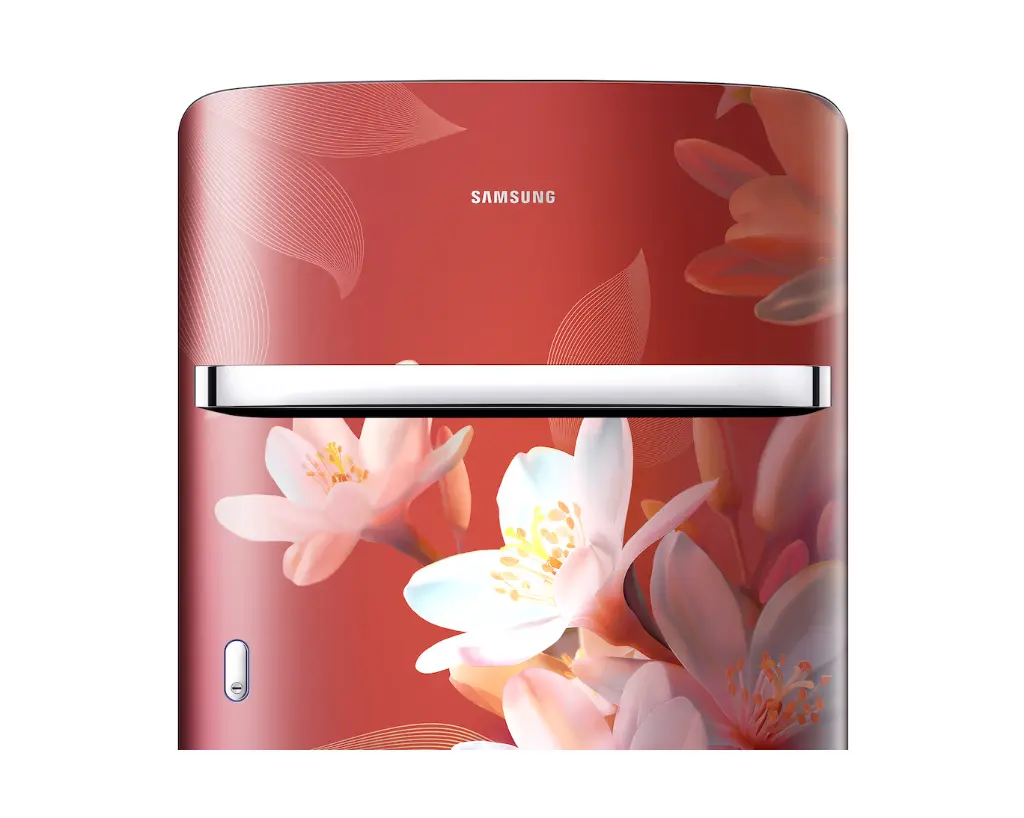 Refrigerator_SAMSUNG_ RR21H2G25WR_IMG10.webp