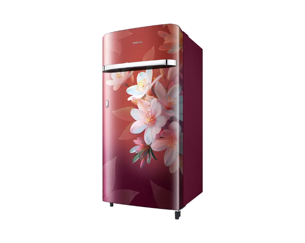 Refrigerator_SAMSUNG_ RR21H2G25WR_IMG03.webp
