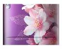 Refrigerator_SAMSUNG_ RR20H1823WB_IMG13.webp