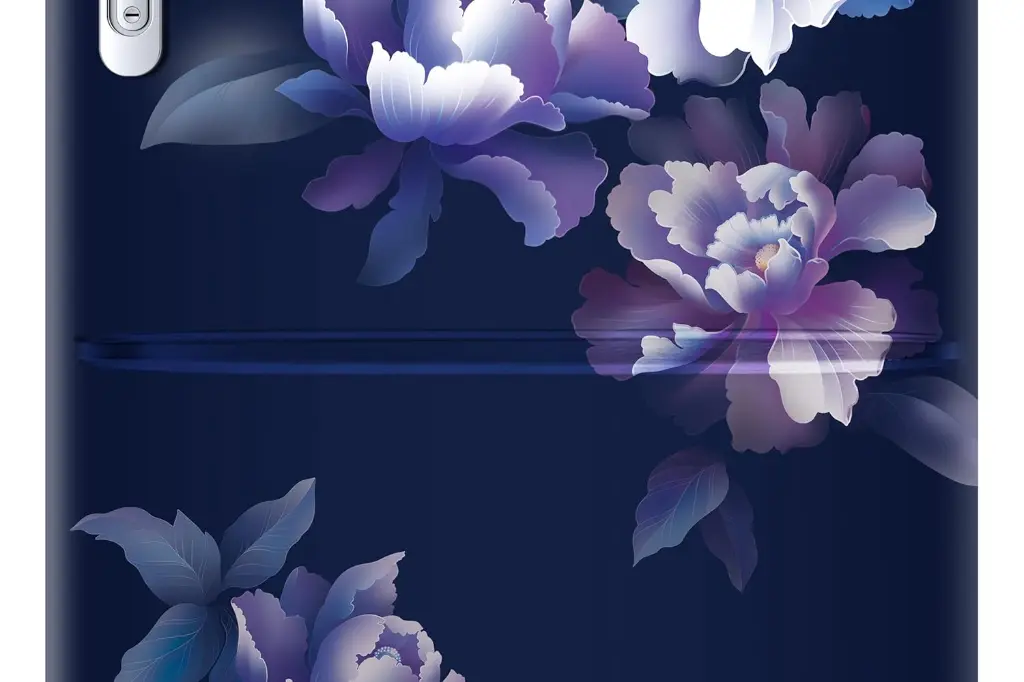 Refrigerator_SAMSUNG_RR20H1812HV_IMG11.webp