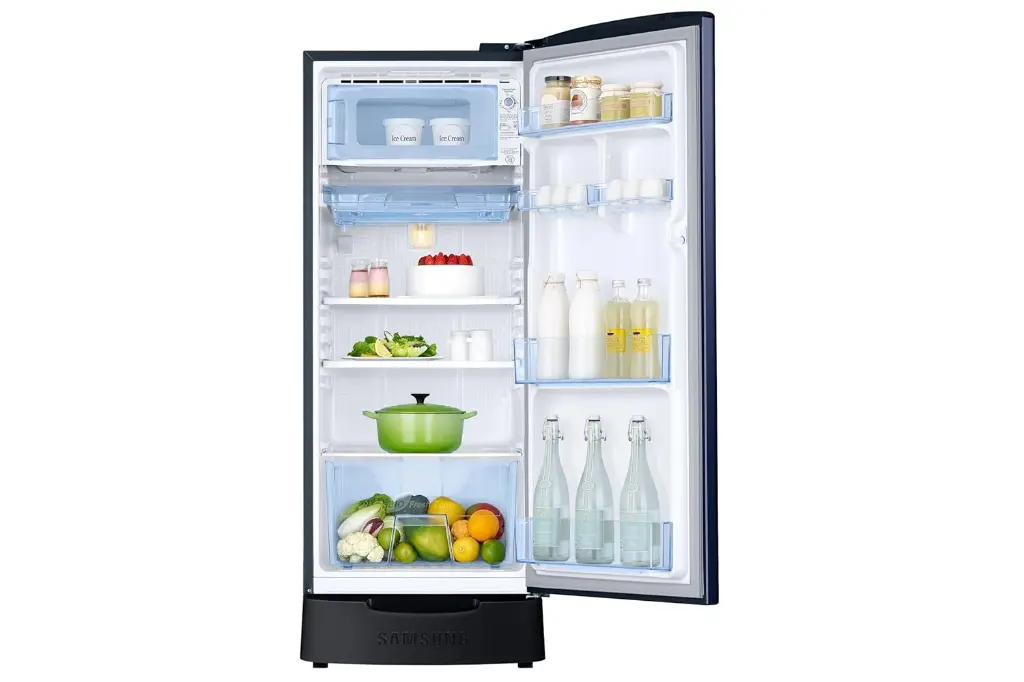 Refrigerator_SAMSUNG_RR20H1812HV_IMG08.webp