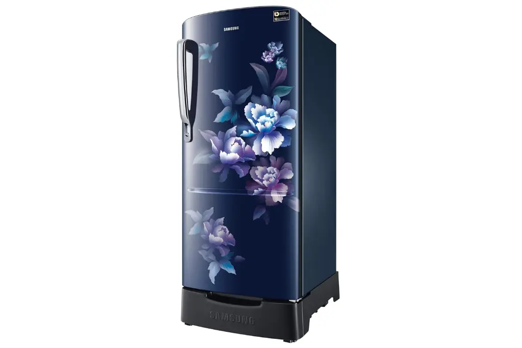 Refrigerator_SAMSUNG_RR20H1812HV_IMG05.webp