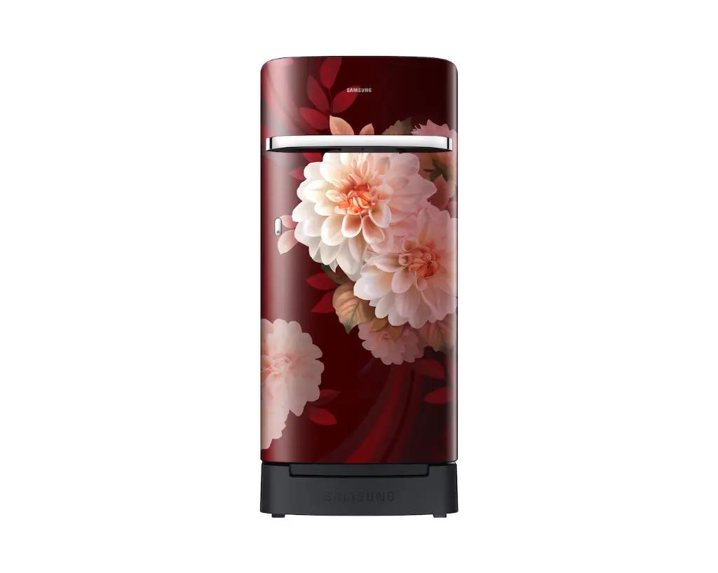 Refrigerator_SAMSUNG_RR21H2H25BR_IMG03.webp