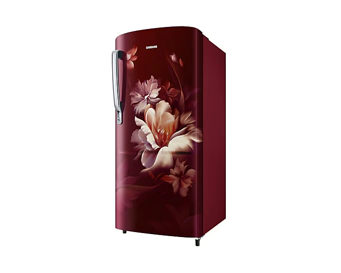 Refrigerator - Samsung - 183 L, Single Door, 5 Star - (RR20D2725RZ, Direct Cool) IMG02