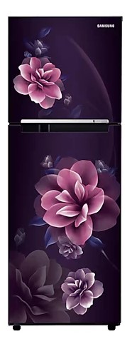 [RT28C3022CR] Refrigerator - Samsung - 236 L, Double Door, 2 Star - (RT28C3022CR, Frost Free)